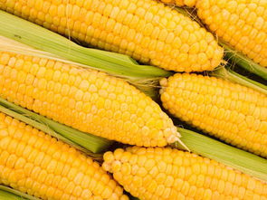 找蔬菜配送就找金六穗餐飲 西南有機蔬菜配送與餐飲管理一體化服務(wù)